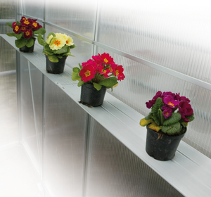 Productimage Greenhouse Accessory ALB-R 1