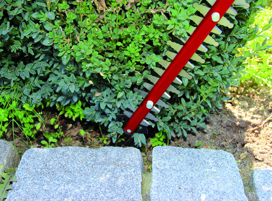 einhell-expert-electric-hedge-trimmer-3403340-example_usage-003