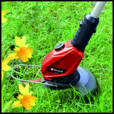 einhell-expert-cordless-lawn-trimmer-3411197-detail_image-104