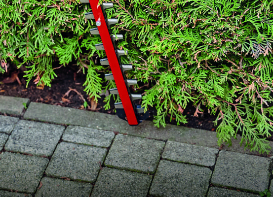 einhell-expert-cordless-hedge-trimmer-3410960-example_usage-002