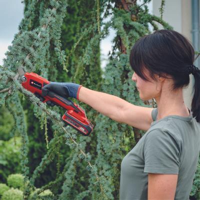einhell-expert-cordless-pruning-shears-3408300-example_usage-001