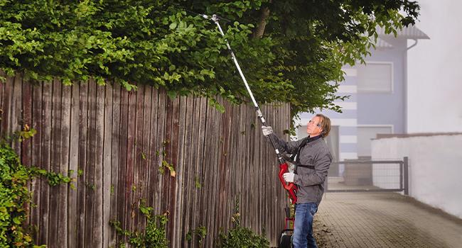 Practical-hedge-trimmer