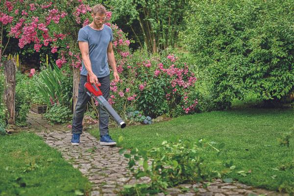 einhell-professional-cordless-leaf-blower-3433556-example_usage-001